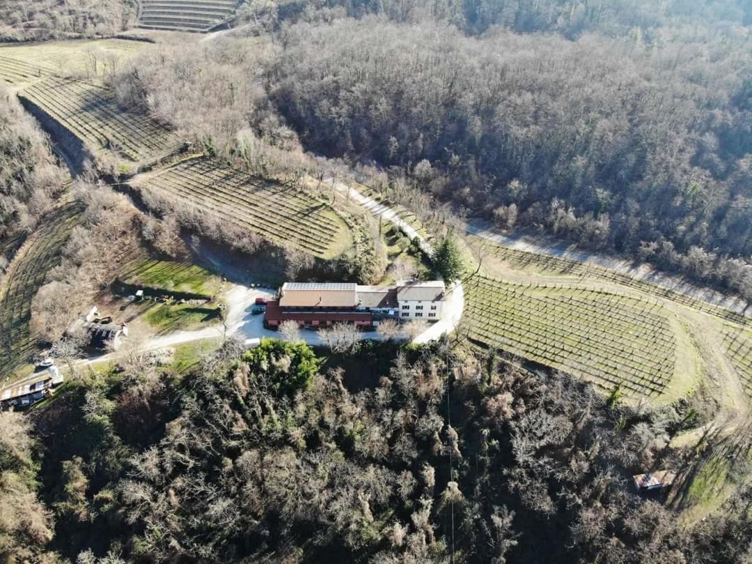 Cividale del FriuliBosco Romagno别墅 外观 照片