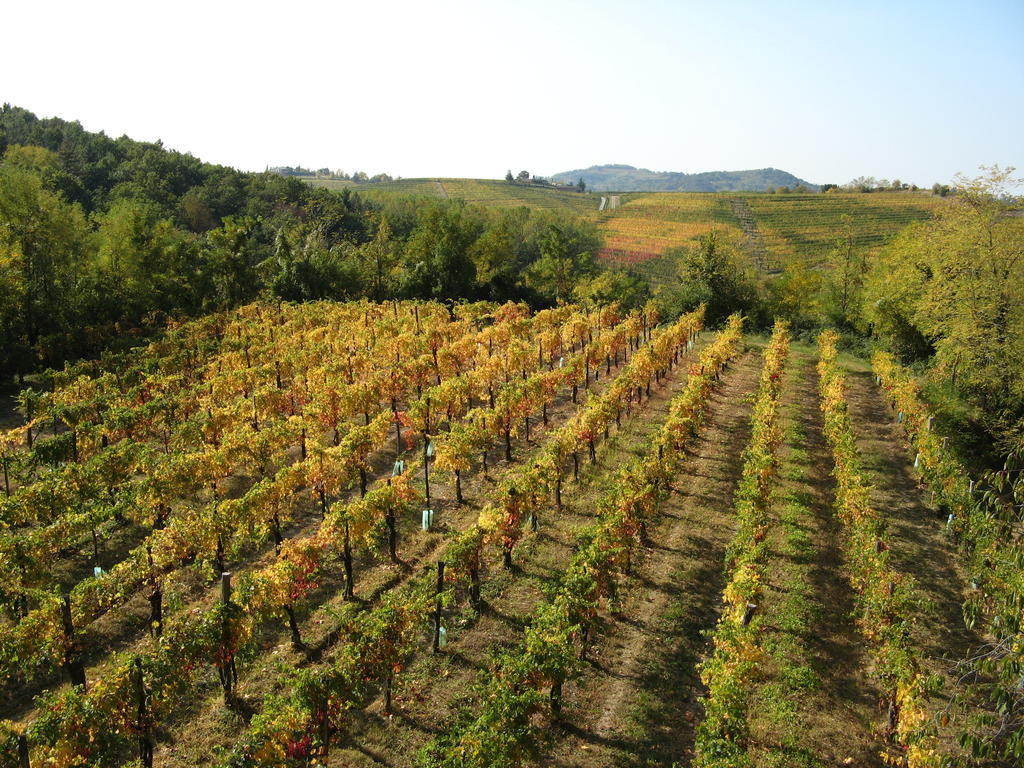 Cividale del FriuliBosco Romagno别墅 外观 照片