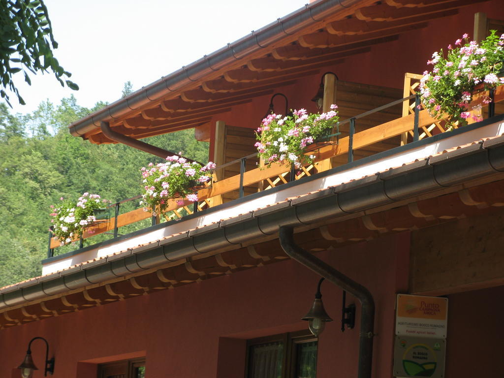 Cividale del FriuliBosco Romagno别墅 客房 照片