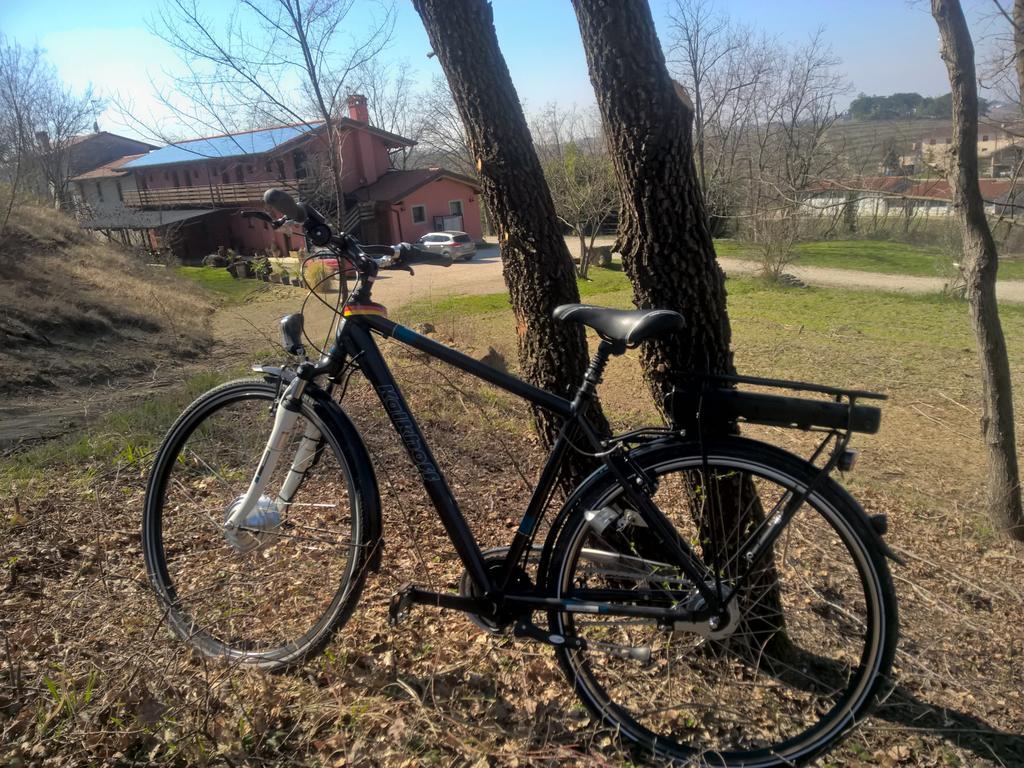 Cividale del FriuliBosco Romagno别墅 外观 照片
